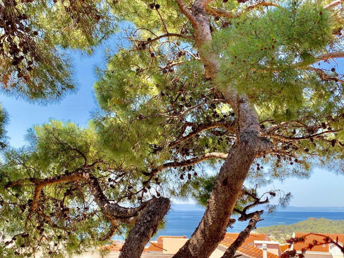 17 Pines Leilighet Makarska Eksteriør bilde
