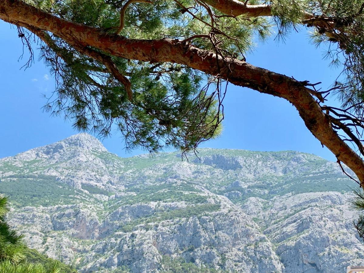 17 Pines Leilighet Makarska Eksteriør bilde